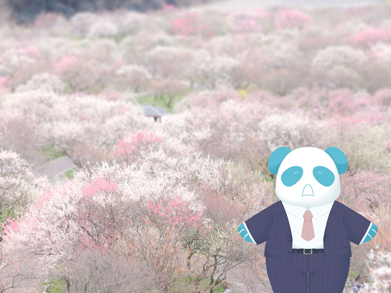 いなべ梅林公園