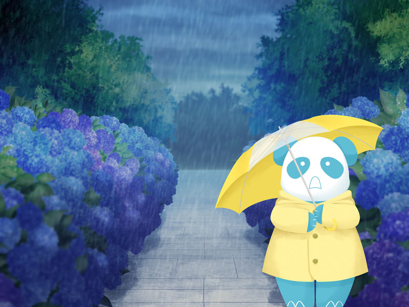 梅雨